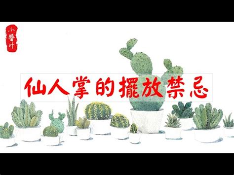 仙人掌 辦公桌|【仙人掌放辦公室】 辦公室仙人掌風水解秘！財運擋小人招桃。